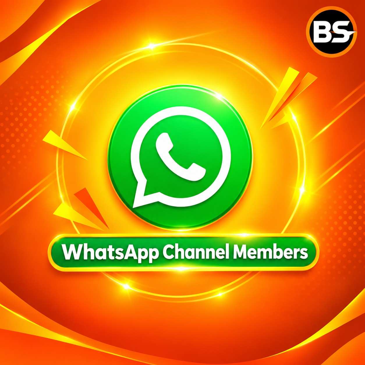 WHATSAPP CHANNEL MEMBERS